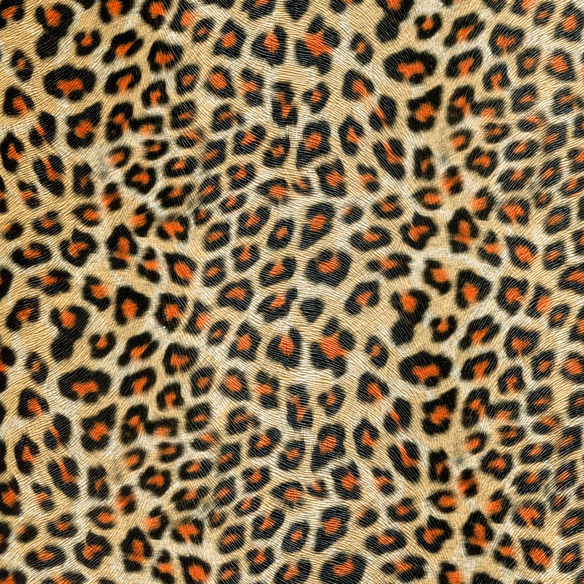 #Culoare_02