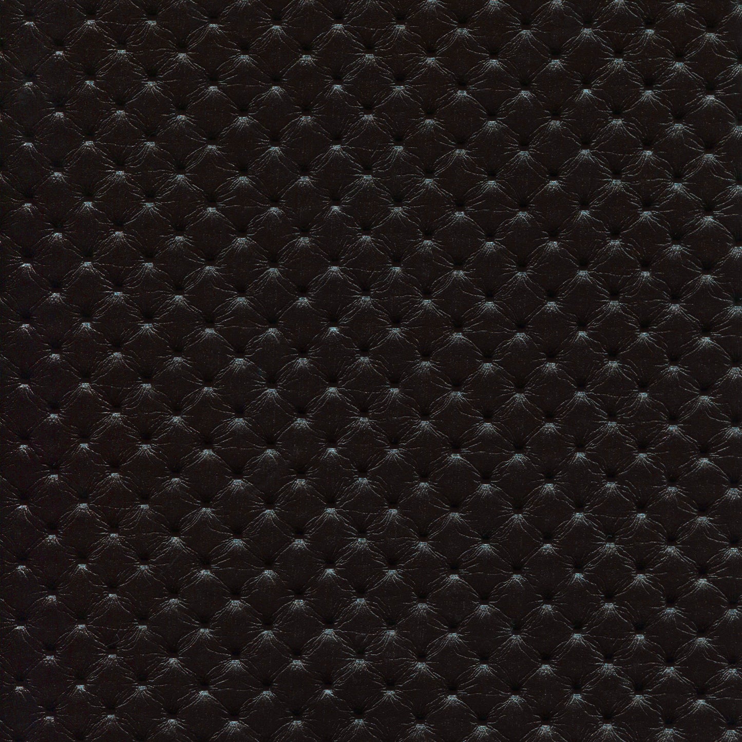#Culoare_681