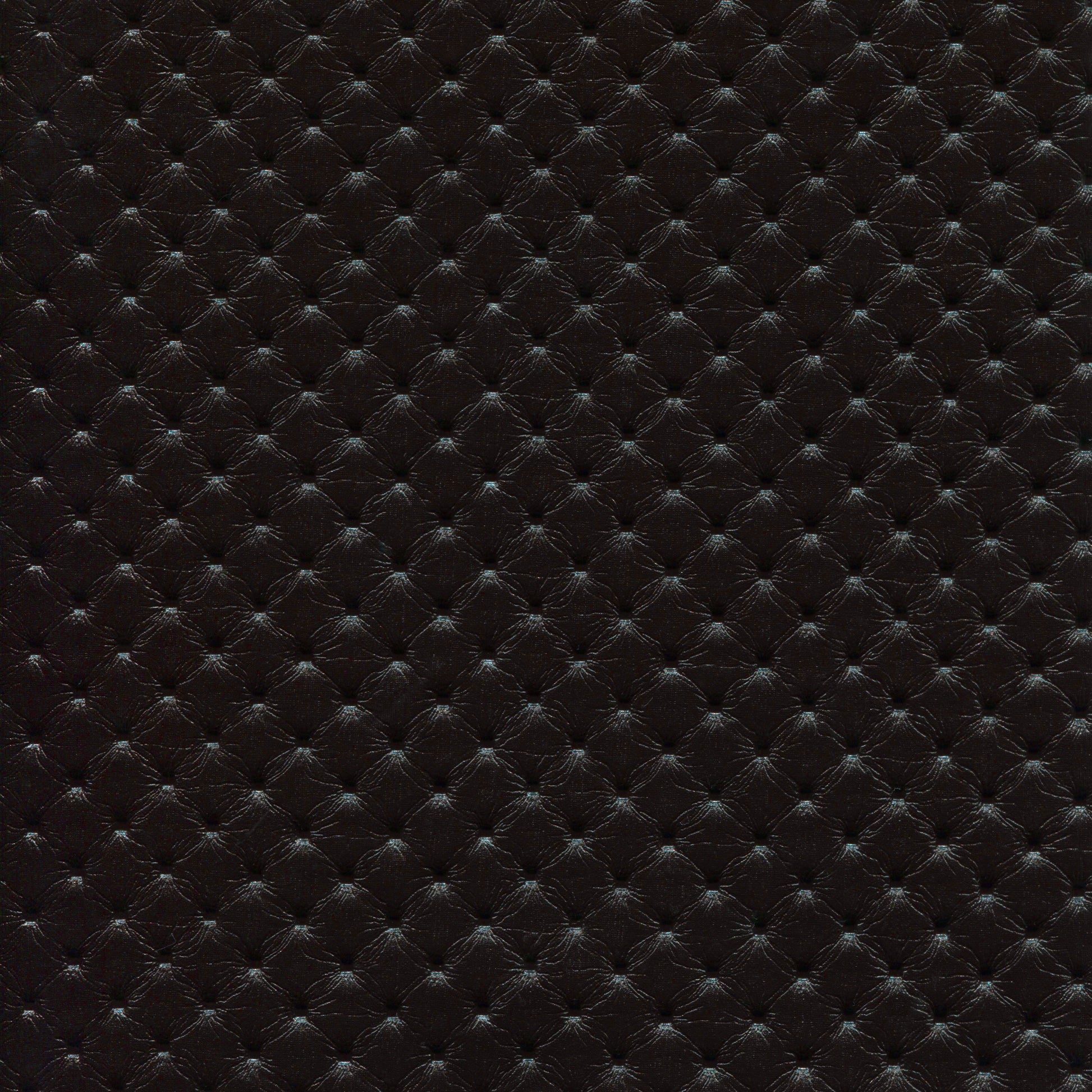 #Culoare_681